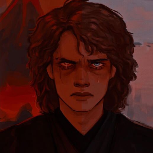 anakin skywalker *